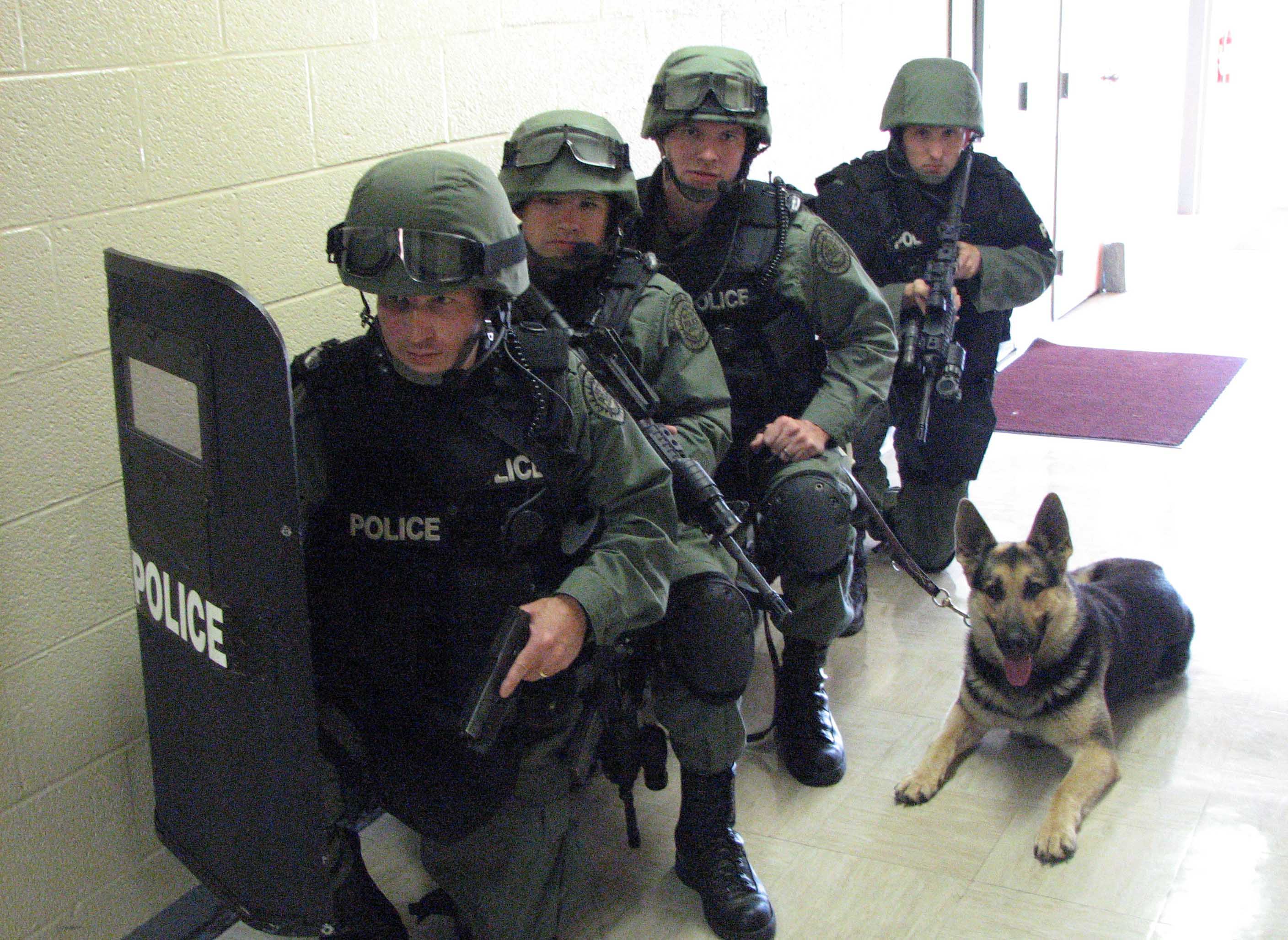 Unreal: SWAT Invades Home of Elderly Woman